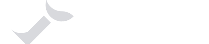 logo-vs-white-2